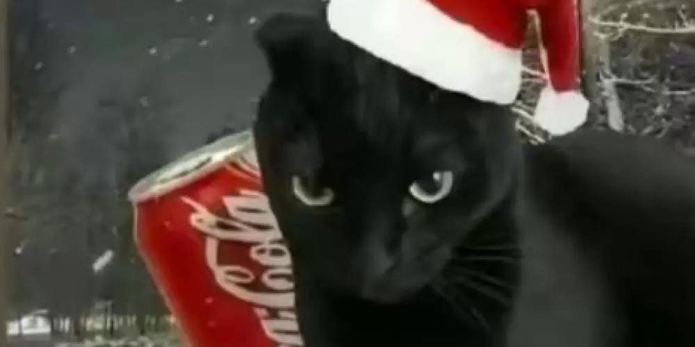 Imagem do grupo de WhatsApp 𝑪𝒉𝒂𝒕 𝒅𝒂 𝑫𝒖𝒅𝒊𝒏𝒉𝒂 02