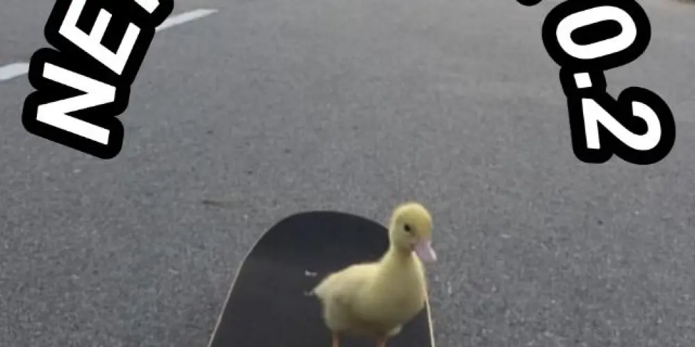 Imagem do grupo de WhatsApp 𝙽𝙴𝚆 𝙾𝚁𝙳𝙴𝙼 0.2