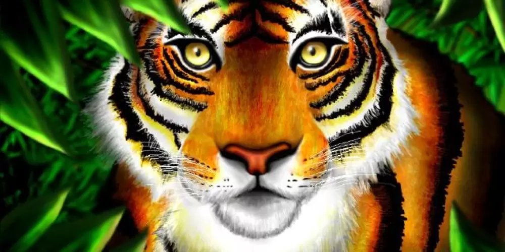 Imagem do grupo de WhatsApp ⓿❶•ᴛᏻ's• 𝚃𝙸𝙶𝙴𝚁 𝙳𝙸𝚅𝚄𝙻𝙶𝙰𝙲𝙾𝙴𝚂⁰¹