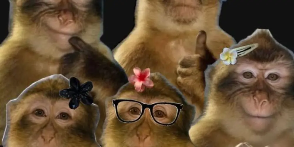 Imagem do grupo de WhatsApp ˚₊‧꒰ა Os Mais Mais ໒꒱‧₊˚