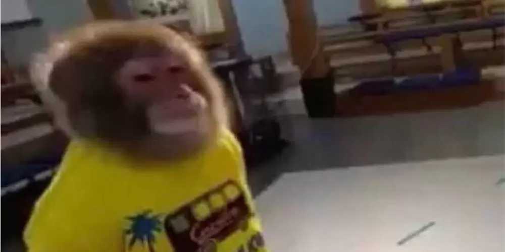 Imagem do grupo de WhatsApp 𝐓𝐑𝐎𝐏𝐀 𝐃𝐀 𝐂𝐇1𝐍𝐀