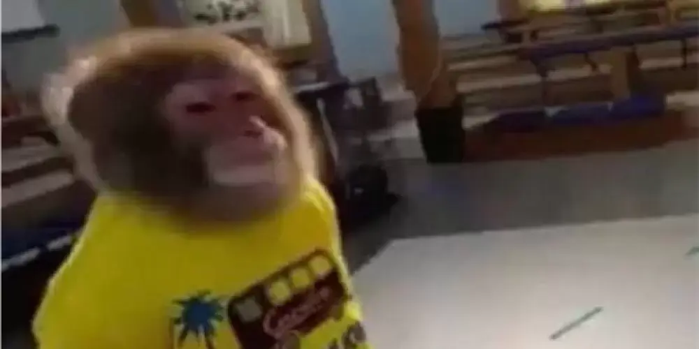 Imagem do grupo de WhatsApp 𝐓𝐑𝐎𝐏𝐀 𝐃𝐀 𝐂𝐇1𝐍𝐀