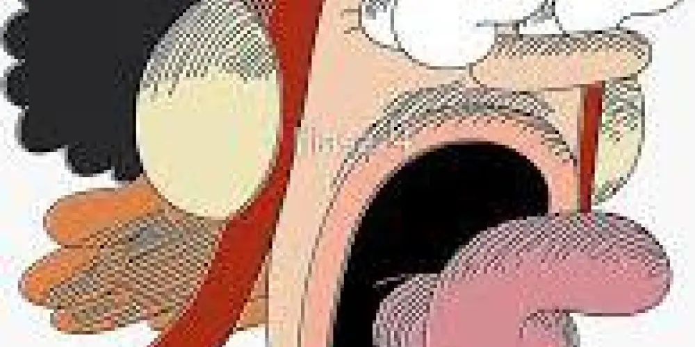 Imagem do grupo de WhatsApp +1 anime pra lista