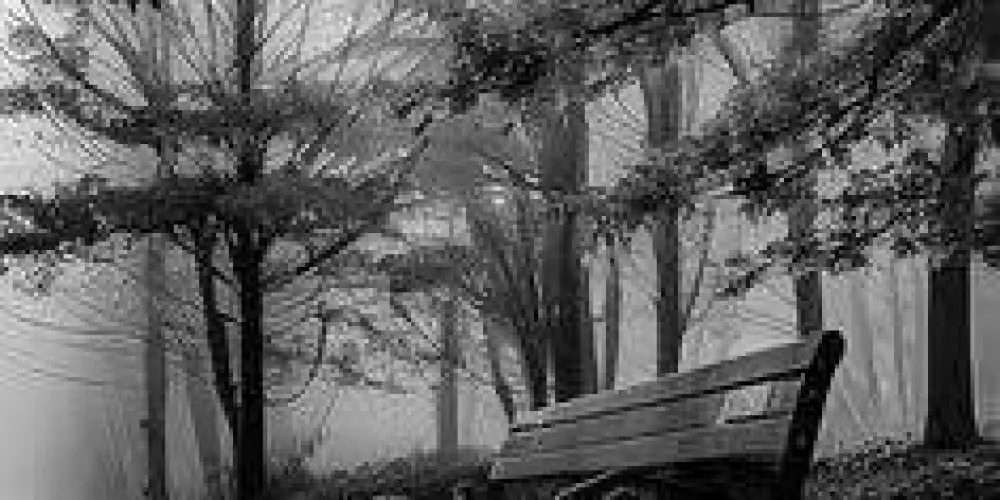 Imagem do grupo de WhatsApp 1 hora da manhã