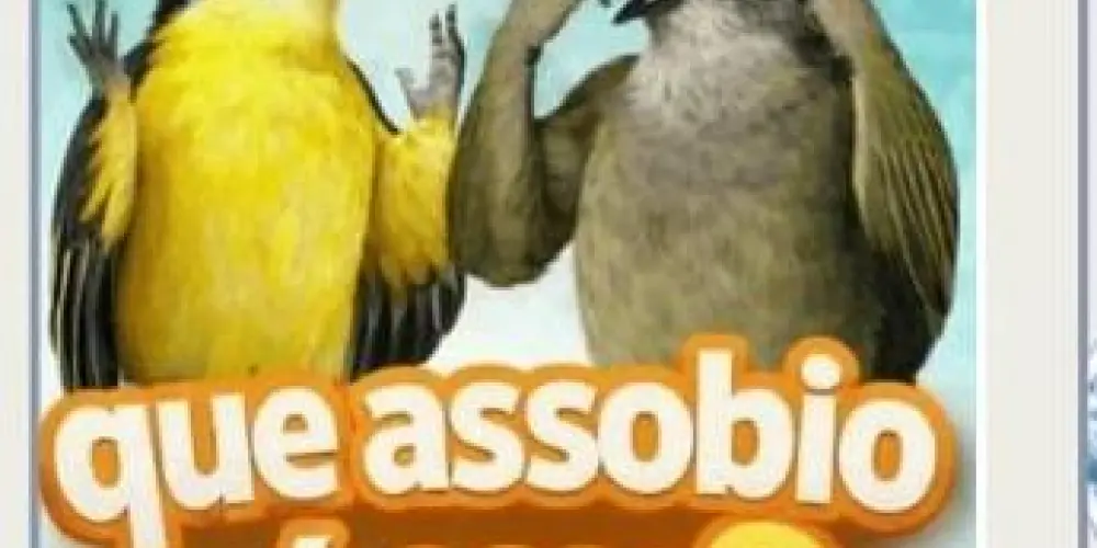 Imagem do grupo de WhatsApp #10 GRUPO DE ASSOBIO 🇧🇷🐦