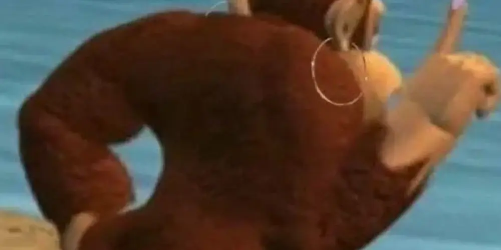 Imagem do grupo de WhatsApp 100% 𝒁𝒐𝒆𝒊𝒓𝒂 🤯