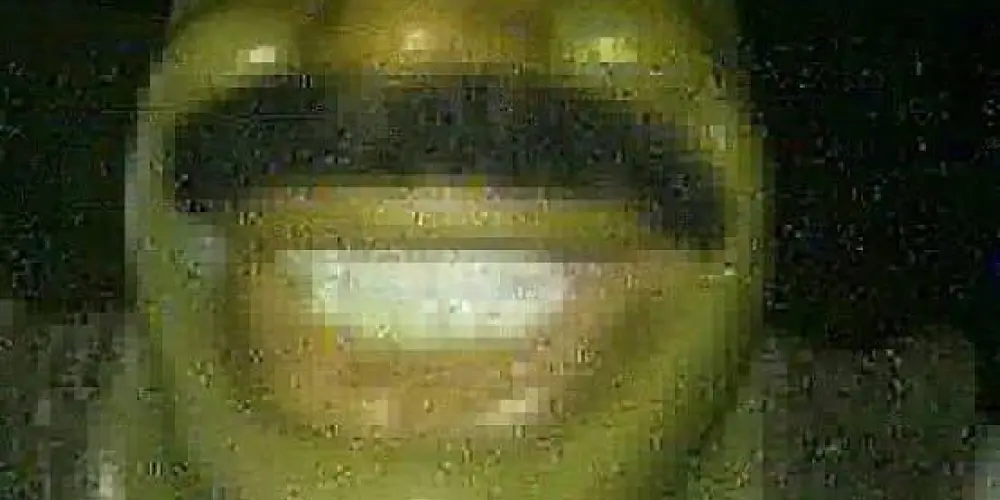 Imagem do grupo de WhatsApp 100% de zueira