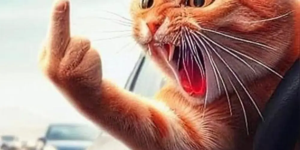 Imagem do grupo de WhatsApp 100 FЯΣIӨ 😎