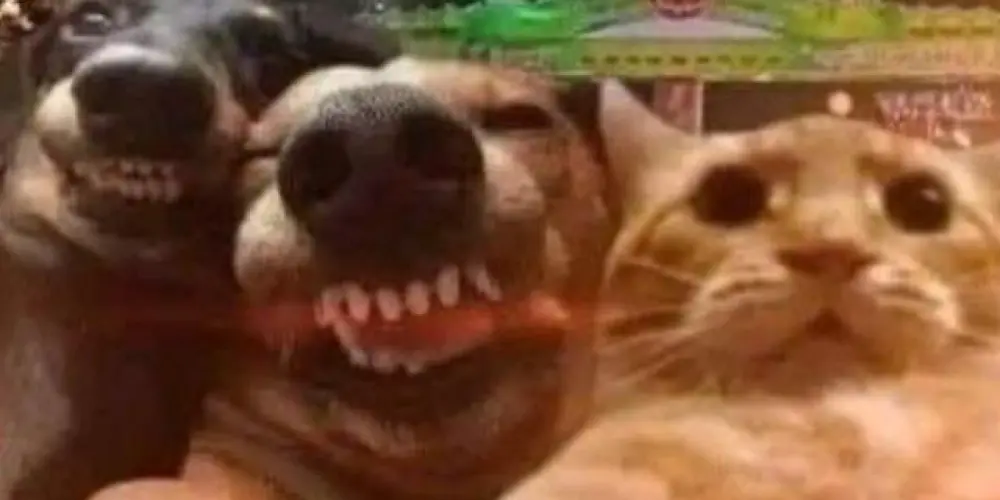 Imagem do grupo de WhatsApp 100 limites💢