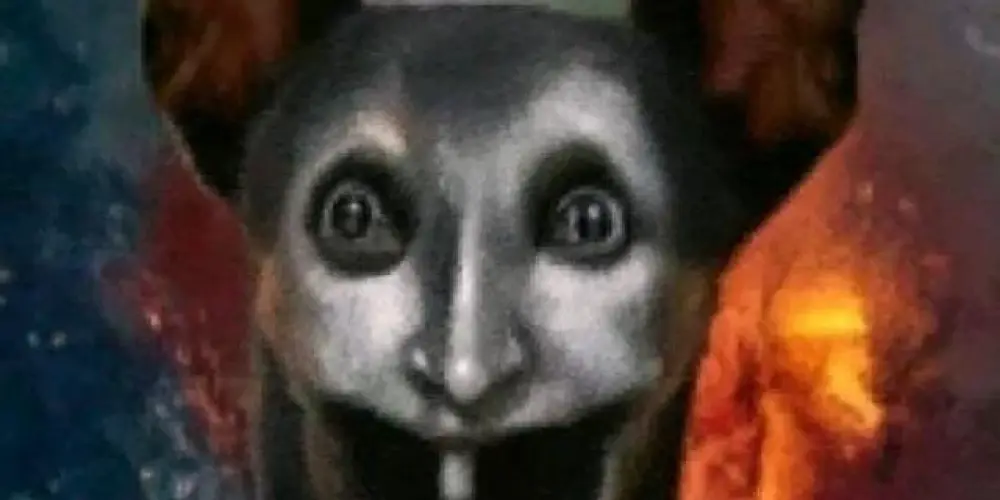 Imagem do grupo de WhatsApp 100% livre