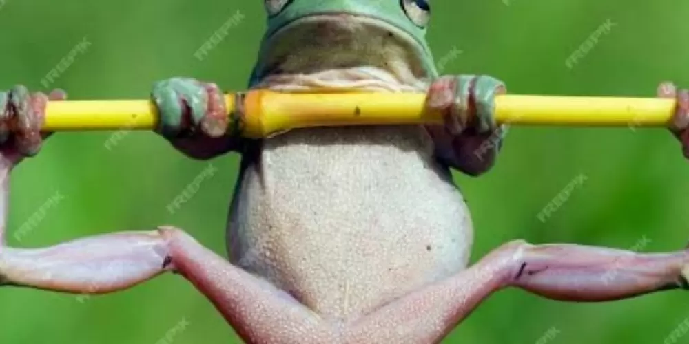 Imagem do grupo de WhatsApp 100% zoeira 😼🍌😝