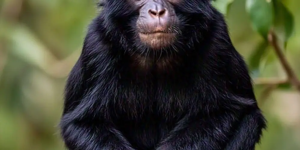 Imagem do grupo de WhatsApp 1️⃣3️⃣ STF - SUPREMO TRIBUNAL FUCKING 🏳️‍🌈