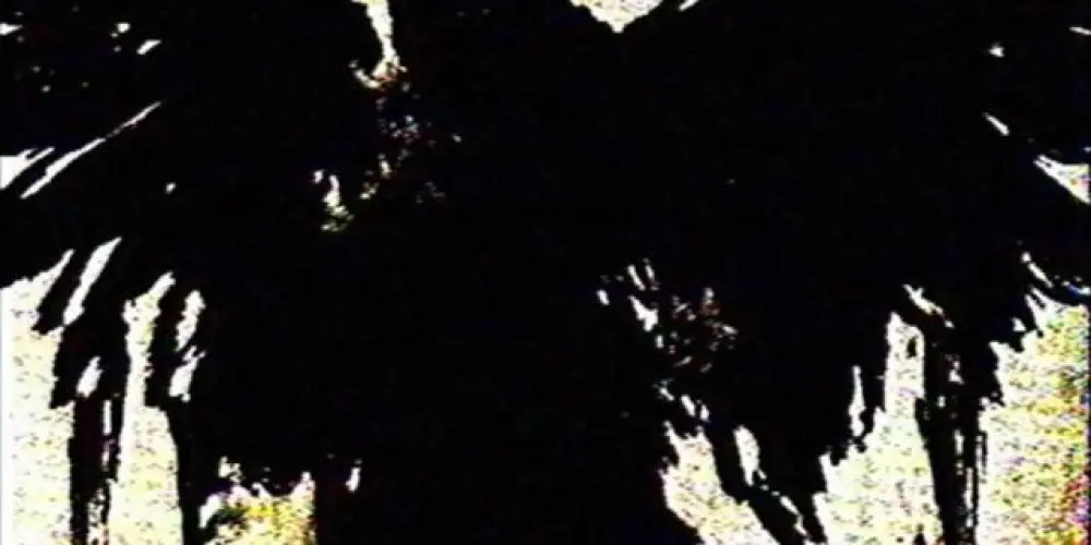 Imagem do grupo de WhatsApp ─ ͟͞▒⃟ ⃟፝🇬🇬፝𝐅𝚫𝐈𝐋𝚺𝚻 𝕻͢𝐔𝐁𝐋𝐈͢𝐂፝🇬🇬¹⁵⁷⃟ ⃟▒͟͞