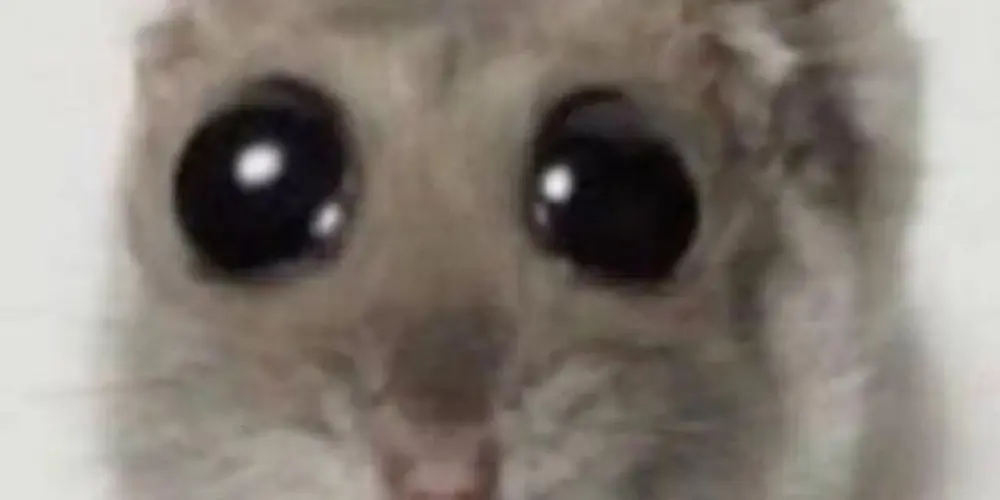 Imagem do grupo de WhatsApp 𝔸𝕞𝕚𝕫𝕒𝕕𝕖𝕤2.0🙉💨