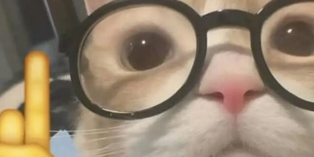 Imagem do grupo de WhatsApp 𝑯𝒐𝒔𝒑𝒊́𝒄𝒊𝒐 2.0