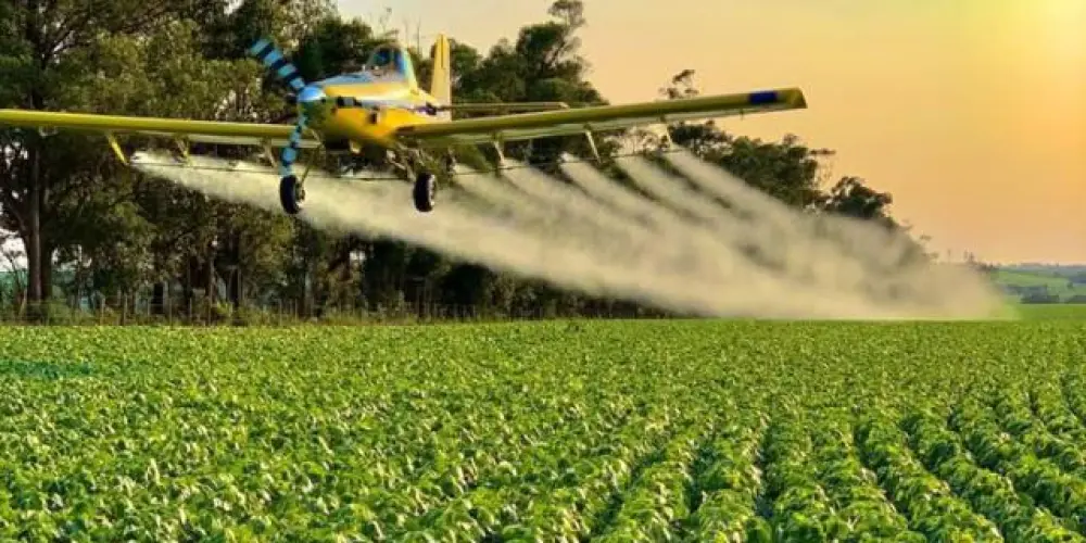 Imagem do grupo de WhatsApp ᴸᴮ 𝘵𝘶𝘳𝘮𝘢 𝘥𝘰 𝘧𝘴20 🇧🇷