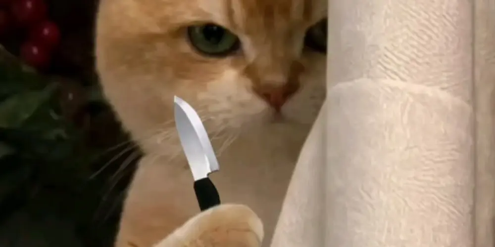 Imagem do grupo de WhatsApp ＦＩＧＵＲＩＮＨＡＳ 2.0