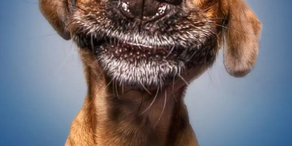 Imagem do grupo de WhatsApp ×͜× 2025 ×͜×