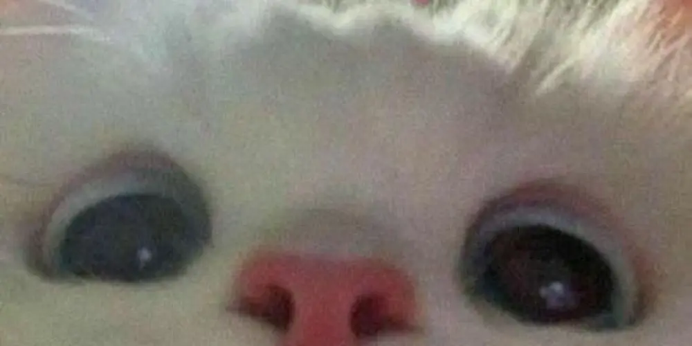 Imagem do grupo de WhatsApp "2025"...❤️ Amizades de todos os tipos