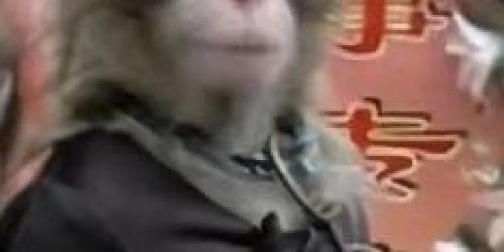 Imagem do grupo de WhatsApp [★2030★]