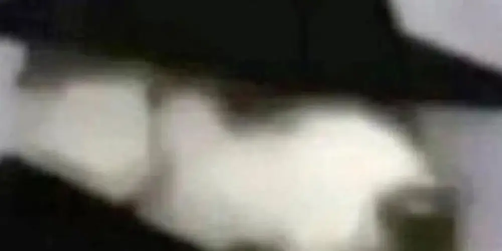 Imagem do grupo de WhatsApp 💗★ 𝐓𝐇𝐄 𝐂𝐀𝐏𝐒 ²⁰²⁵★💗