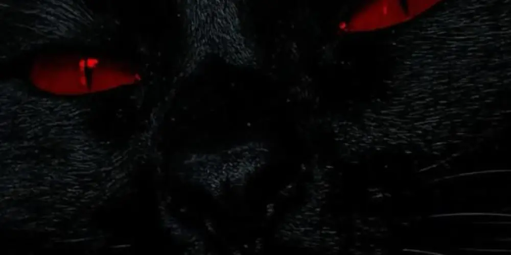 Imagem do grupo de WhatsApp 🍷-𝒞𝐻𝒜𝒯-𝐸𝐿𝐼𝒯𝐸- ²⁰²⁵🩸