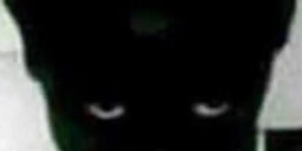 Imagem do grupo de WhatsApp 𝕬𝖒𝖎𝖟𝖆𝖉𝖊𝖘 24𝖍𝖗𝖘 3.2