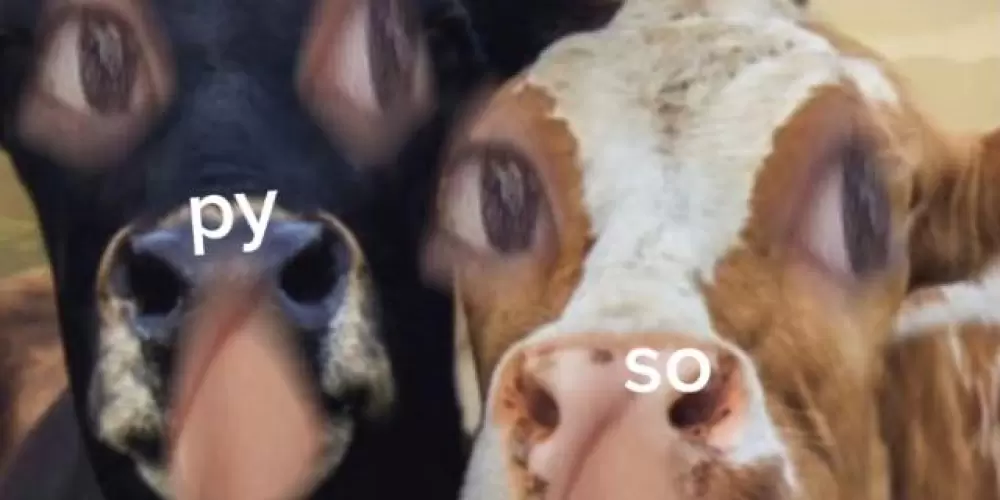 Imagem do grupo de WhatsApp ◌⑅⃝●♡⋆𝙰𝚖𝚒𝚣𝚊𝚍𝚎𝚜 24𝚑⋆♡●⑅⃝◌