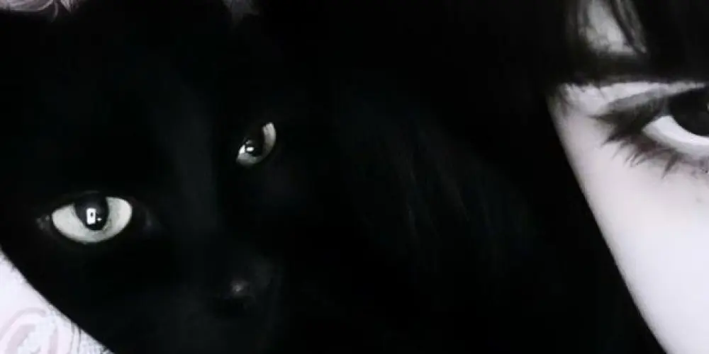 Imagem do grupo de WhatsApp 𝕮𝖍𝖆𝖙 𝖉𝖆 𝕬𝖑𝖊𝖒𝖆̃²⁴ʰ⤶