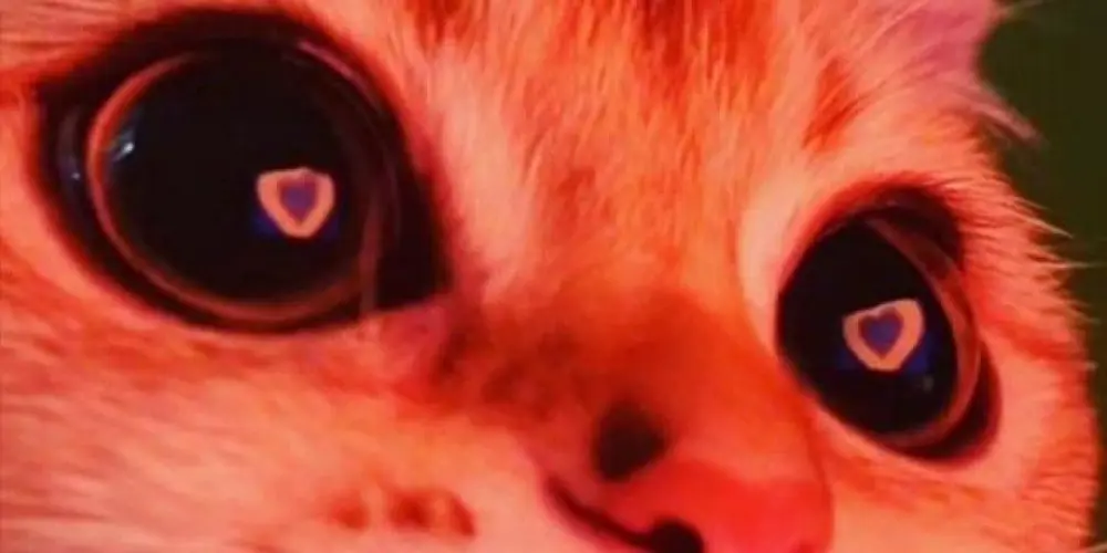 Imagem do grupo de WhatsApp 𝐍𝐢𝐠𝐡𝐭 𝙶𝚘𝚕𝚍𝚎𝑛²⁴ ʰʳˢ