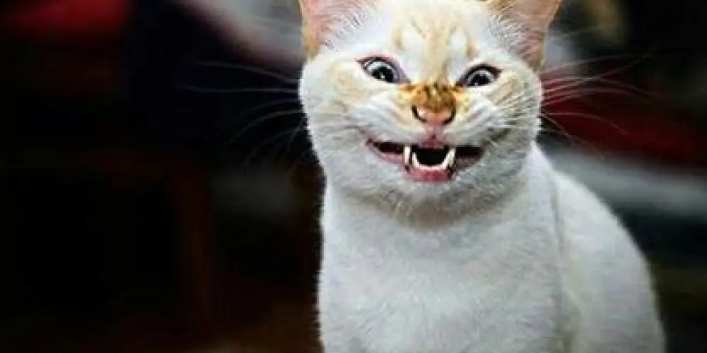 Imagem do grupo de WhatsApp 🅒🅞🅝🅥🅔🅡🅢🅐 🅓🅔  🅓🅞🅘🅓🅞🅢 24🅗 🅓🅔 🅛🅞🅤🅒🅤🅡🅐🅢😵‍💫🤡🥱🥴