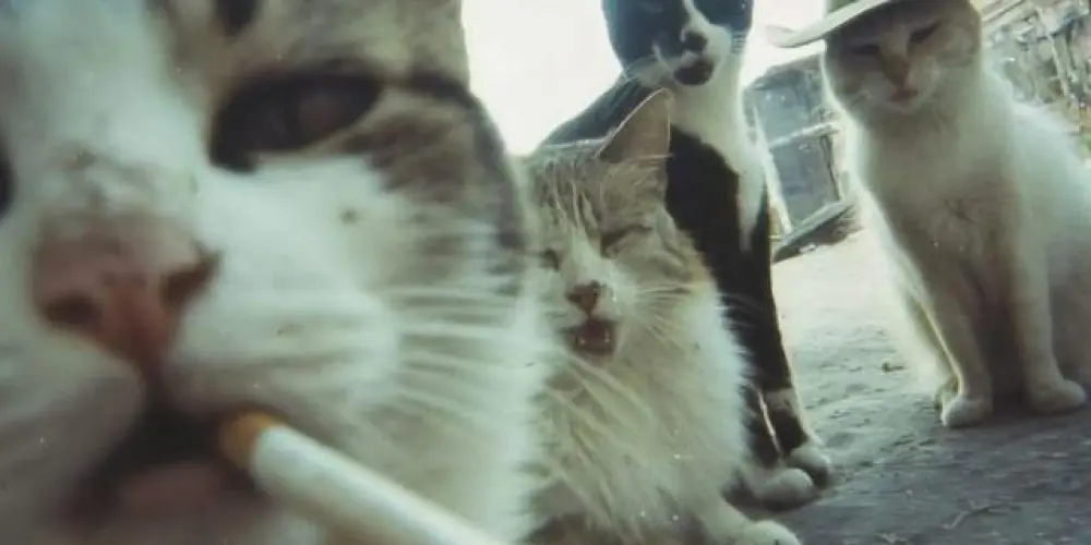 Imagem do grupo de WhatsApp 𝑮𝕽𝖀𝕻𝚯24𝑯𝚯𝕽𝐀𝑺⃟ 🔥