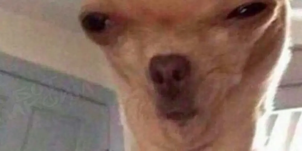 Imagem do grupo de WhatsApp ✦🔮 𝕸𝖆𝖓𝖎𝖈𝖔̂𝖒𝖎𝖔 |²⁴ʰ 𝖔𝖓 🎃✦