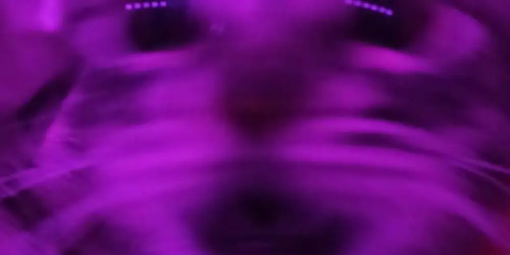 Imagem do grupo de WhatsApp 𝖅𝖚𝖊𝖗𝖆 𝕿𝖔𝖙𝖆𝖑 24 𝖍𝖔𝖗𝖆𝖘 💜