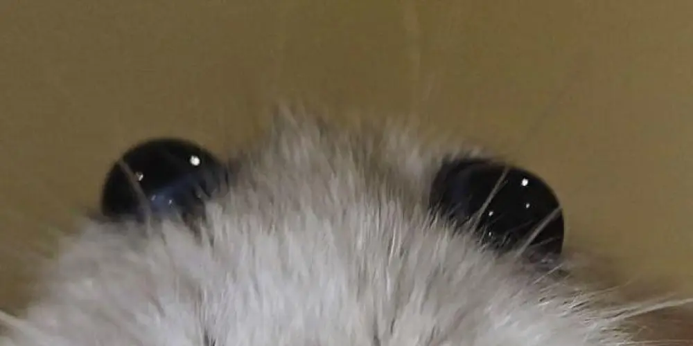 Imagem do grupo de WhatsApp 24 horas de conversa 🫵🏻