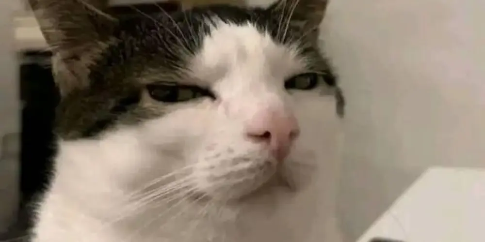 Imagem do grupo de WhatsApp 24 por 48 só sai quem não aguenta 😅