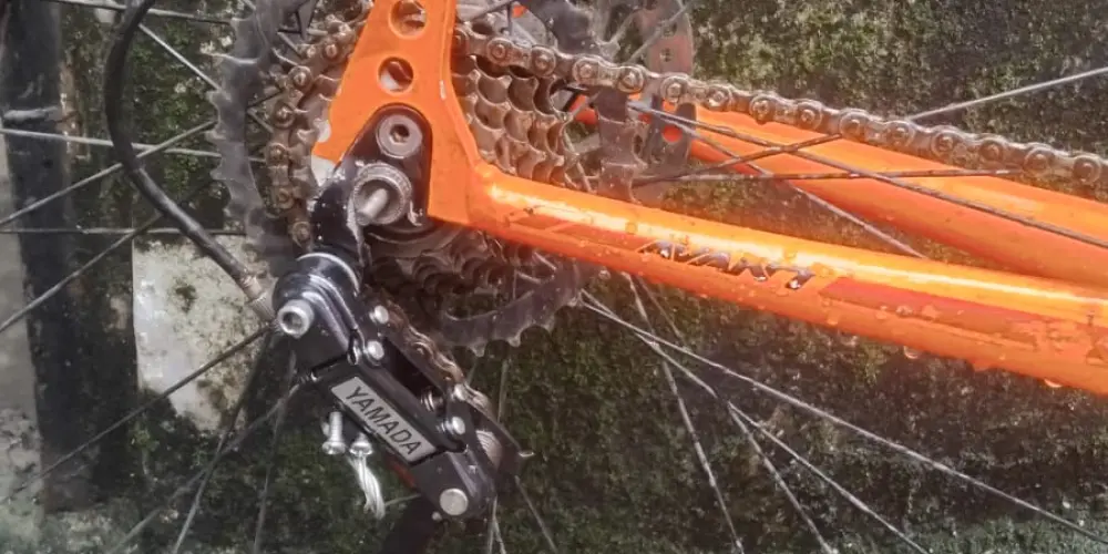 Imagem do grupo de WhatsApp 244 BIKES SP