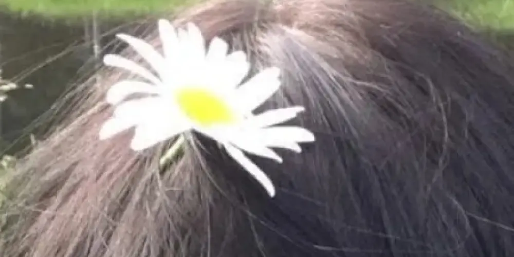 Imagem do grupo de WhatsApp ❤‍🔥➻𝑨𝒎𝒊𝒛𝒂𝒅𝒆 3.0