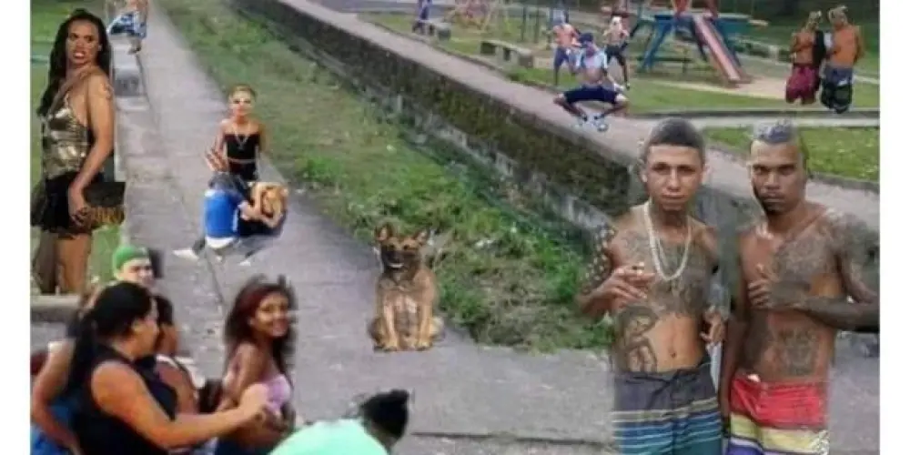 Imagem do grupo de WhatsApp 𝐁𝐫𝐚𝐬𝐢𝐥 𝐏𝐨𝐫𝐜𝐚𝐫𝐢𝐚 𝐋𝐢𝐭 3.0