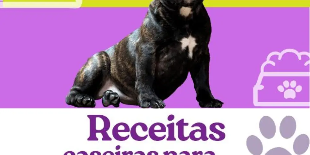 Imagem do grupo de WhatsApp 30 receitas para seu pet🐶✨