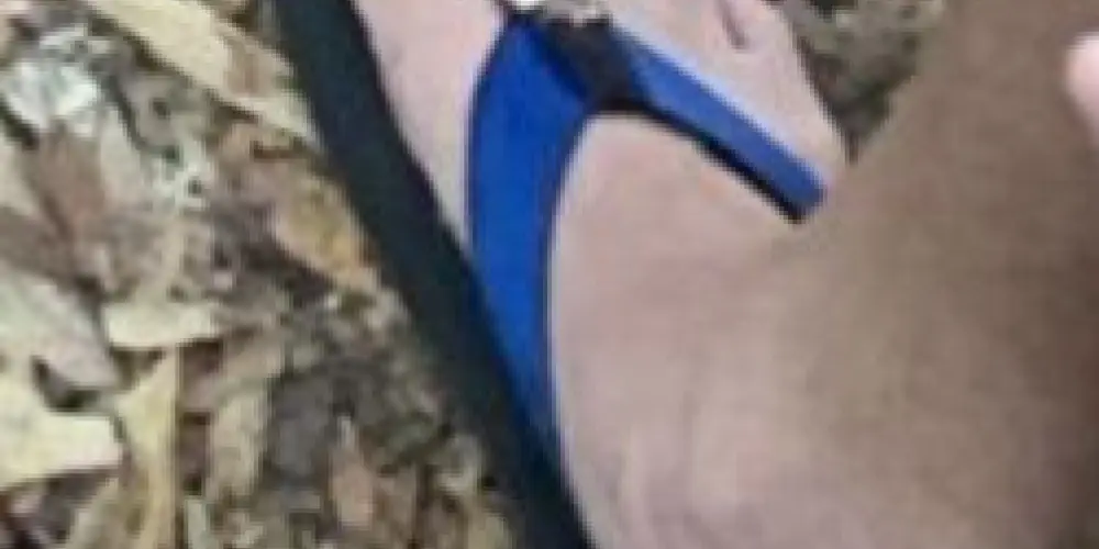 Imagem do grupo de WhatsApp 300 no 7💯