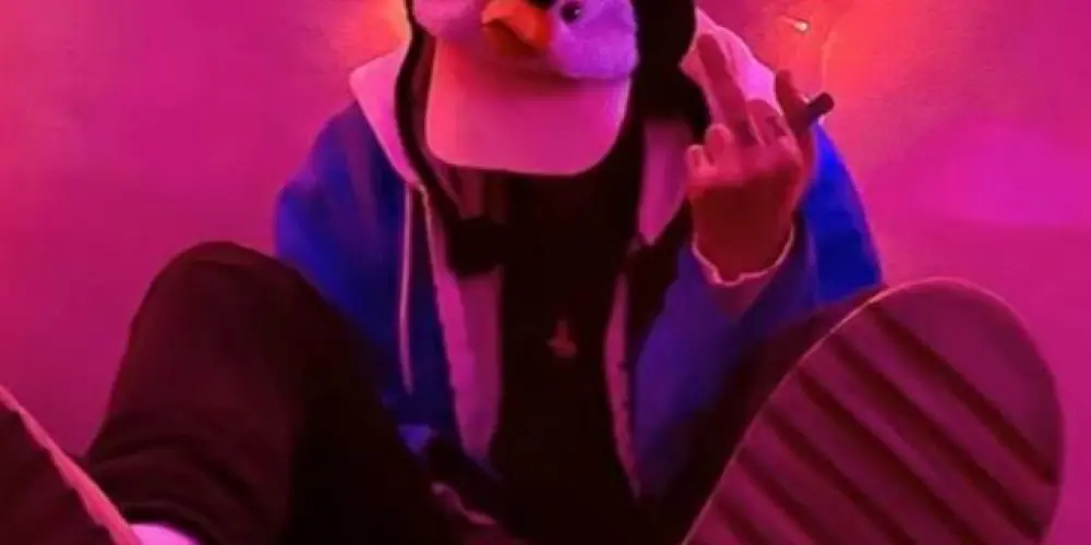 Imagem do grupo de WhatsApp 𝑳𝒊𝒍𝒈𝒊𝒆𝒍𝒂33 💊