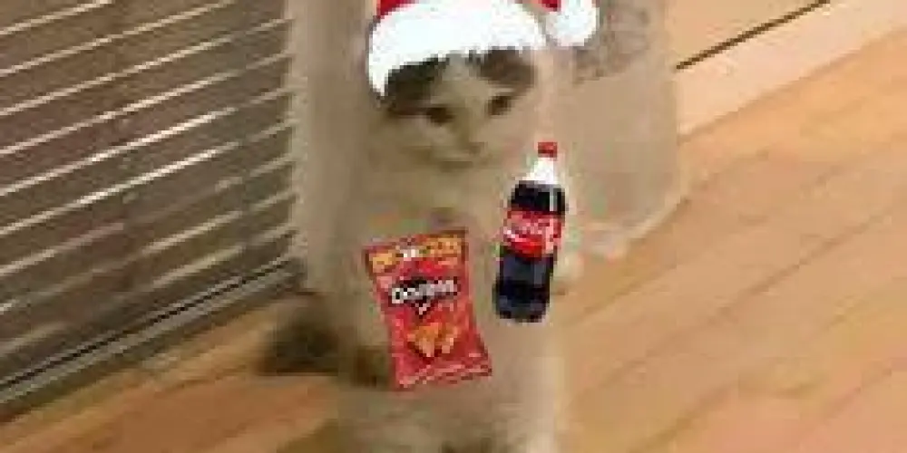 Imagem do grupo de WhatsApp 366 dias  falando merda