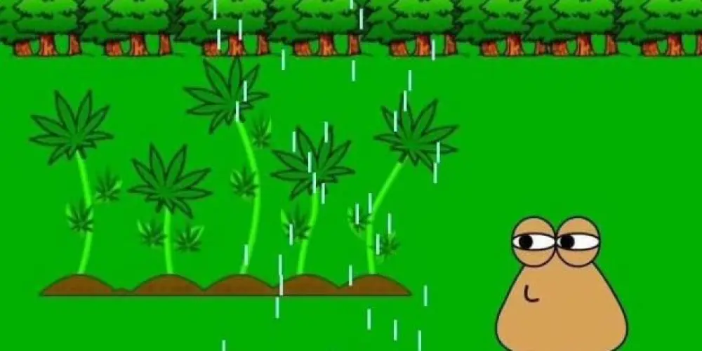 Imagem do grupo de WhatsApp 3B