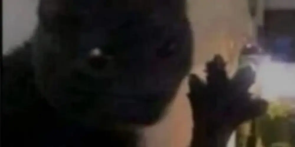 Imagem do grupo de WhatsApp 🖤 ♰ [𝐅𝐑𝐈𝐄𝐍𝐃𝐒𝐇𝐈𝐏⁴] ♰ 🎸