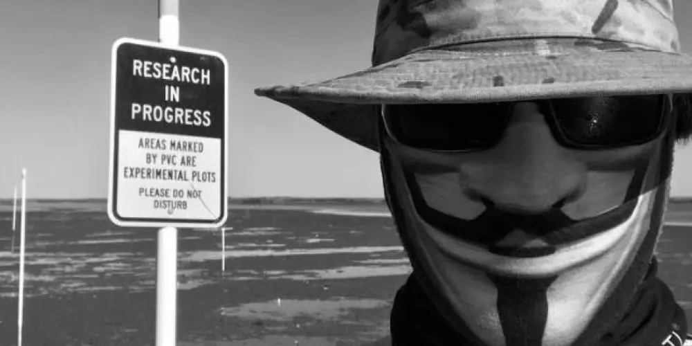 Imagem do grupo de WhatsApp 𝐁𝐨𝐬𝐪𝐮𝐞 𝐝𝐚 𝐃𝐞𝐞𝐩 𝐖𝐞𝐛 ₄₀₄🌴