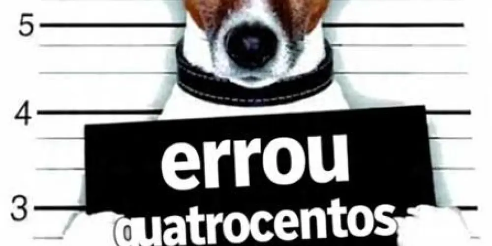 Imagem do grupo de WhatsApp <𝐸𝑅𝑅𝑂𝑅 404:𝐴𝑀𝐼𝐺𝑂𝑆 𝑁𝐴̃𝑂 𝐸𝑁𝐶𝑂𝑁𝑇𝑅𝐴𝐷𝑂𝑆