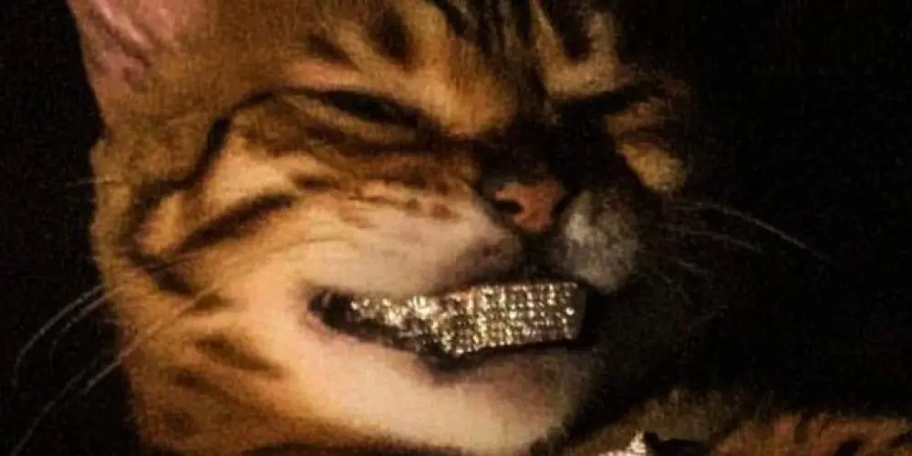 Imagem do grupo de WhatsApp 404 Wi-Fi indisponível