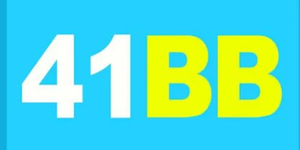 Imagem do grupo de WhatsApp 41BB 💰🤑