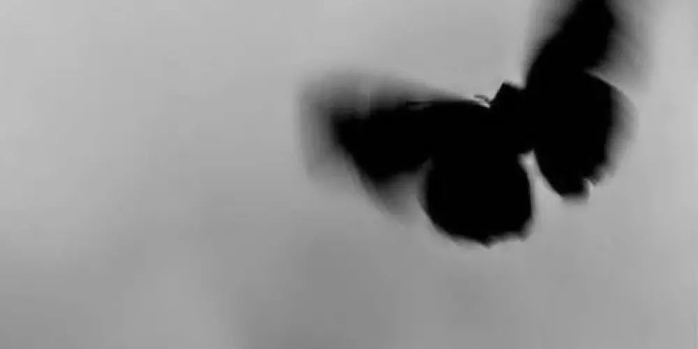 Imagem do grupo de WhatsApp 𝓕𝓵𝔂⁴⁰⁴